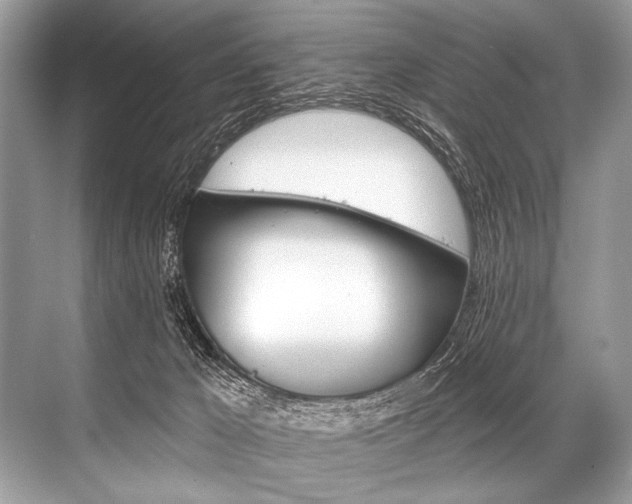 X0000068820029200605050954