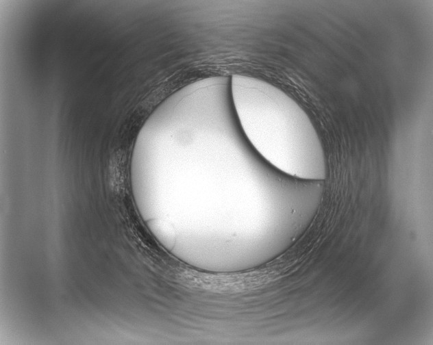 X0000068820030200605050954