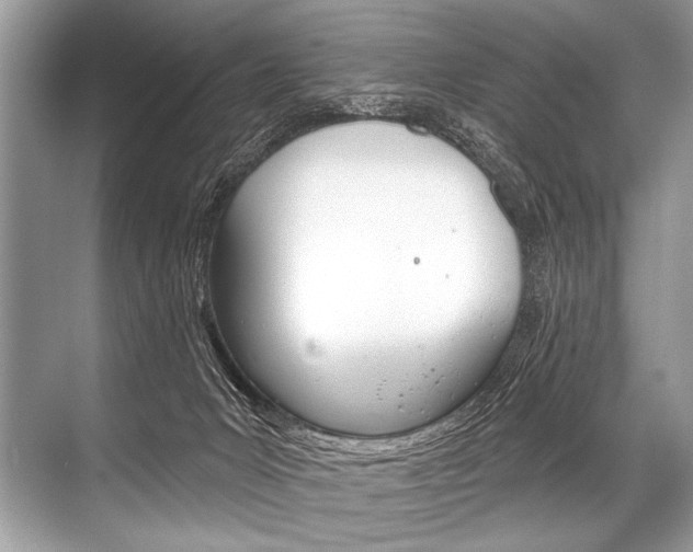 X0000068820031200605050954