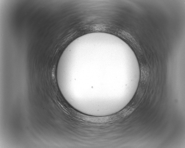 X0000068820032200605050954