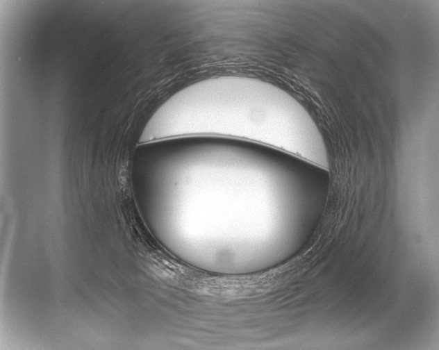 X0000068820033200605050954