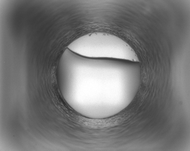 X0000068820034200605050954