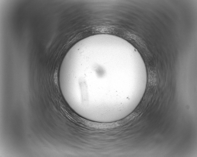 X0000068820036200605050954