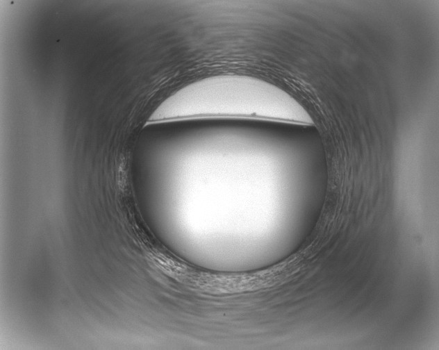 X0000068820037200605050954