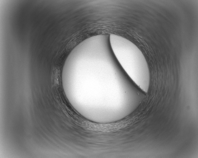 X0000068820038200605050954