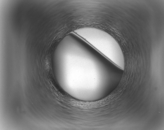 X0000068820039200605050954