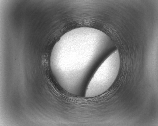 X0000068820040200605050953