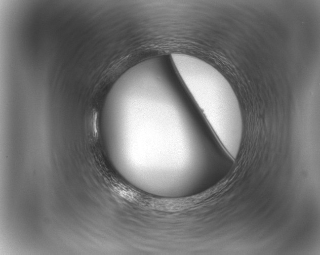 X0000068820041200605050953