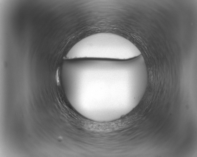 X0000068820042200605050953