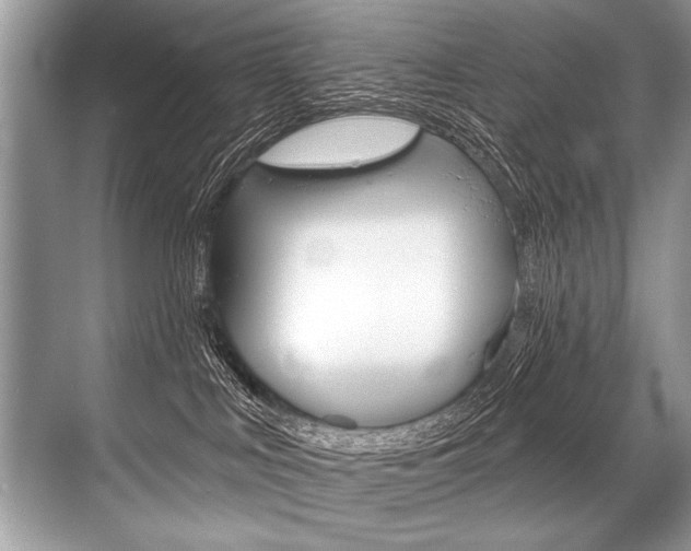 X0000068820043200605050953