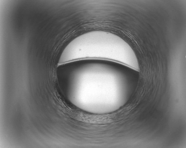 X0000068820044200605050953