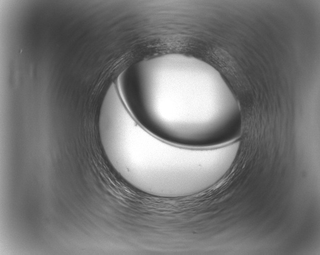 X0000068820045200605050953