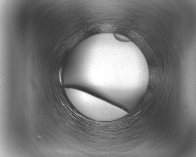 X0000068820046200605050953