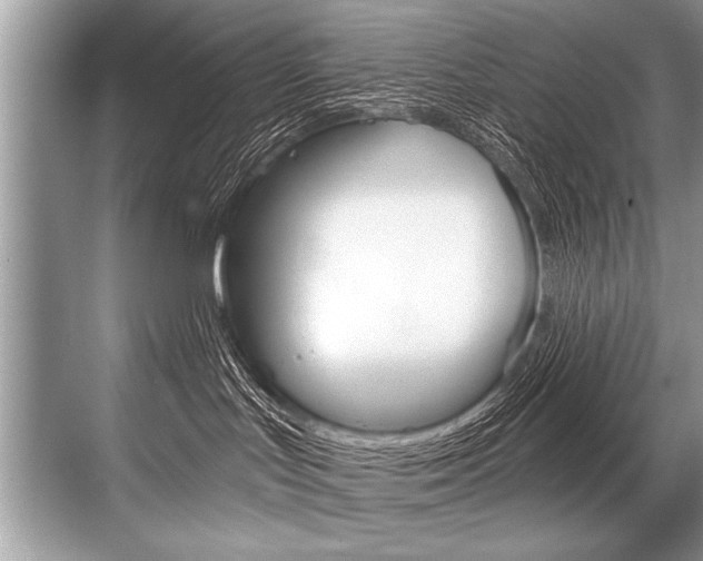 X0000068820047200605050953