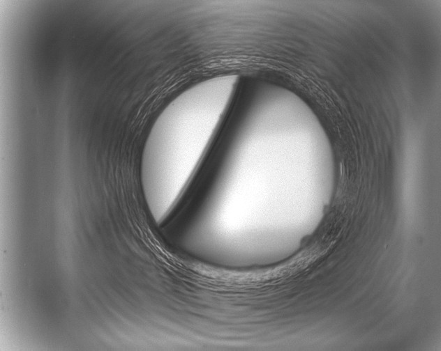 X0000068820048200605050953