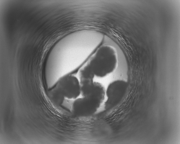 X0000068820049200605050953