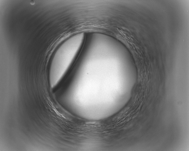 X0000068820050200605050953