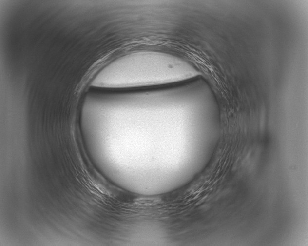 X0000068820051200605050953