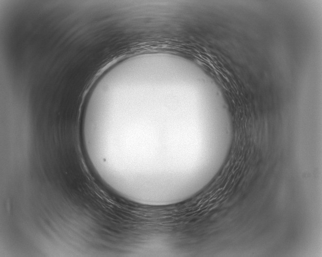 X0000068820052200605050953