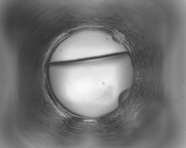 X0000068820053200605050953