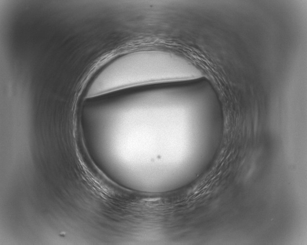 X0000068820054200605050953