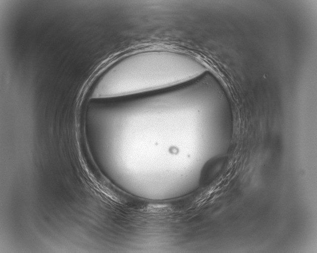 X0000068820055200605050953