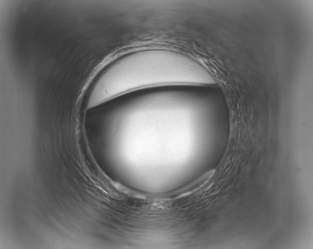 X0000068820056200605050953