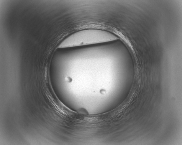 X0000068820057200605050953