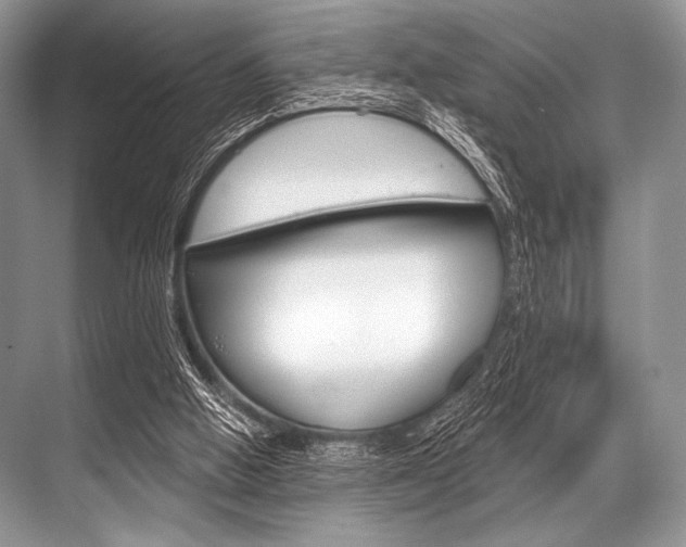 X0000068820058200605050953