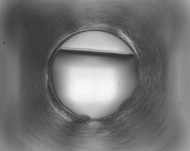 X0000068820059200605050953