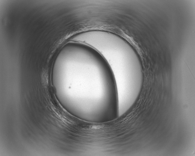 X0000068820060200605050953