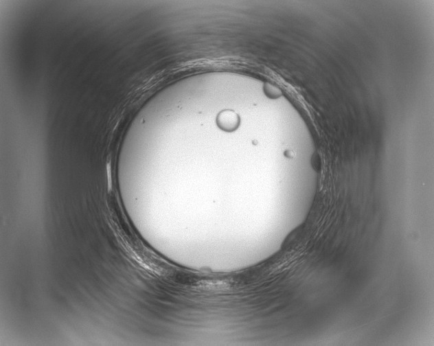 X0000068820061200605050953