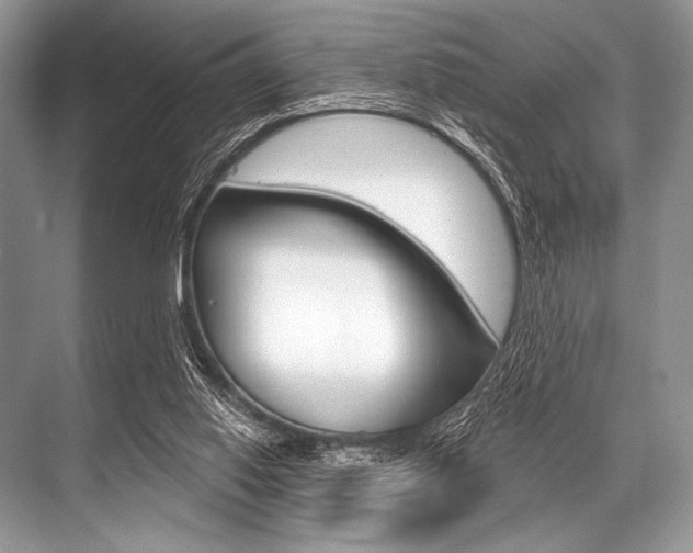 X0000068820062200605050953