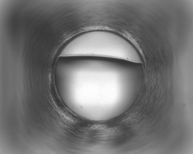 X0000068820063200605050953