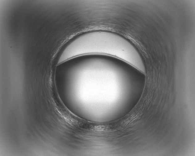 X0000068820064200605050953