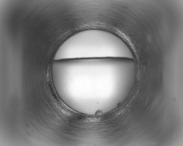 X0000068820065200605050953