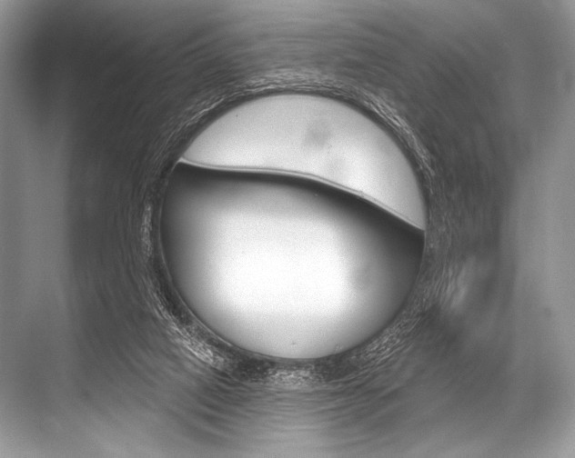 X0000068820066200605050953