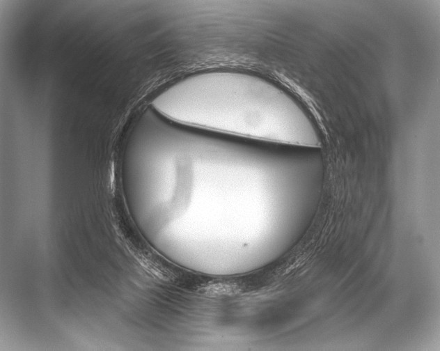 X0000068820067200605050953