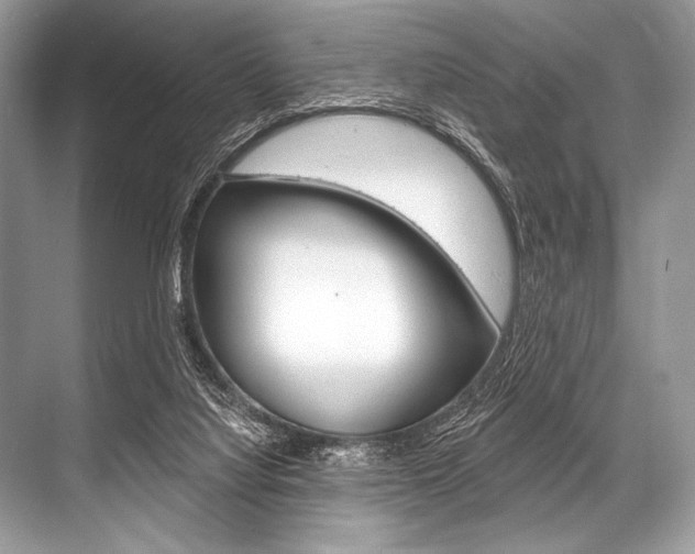 X0000068820068200605050953