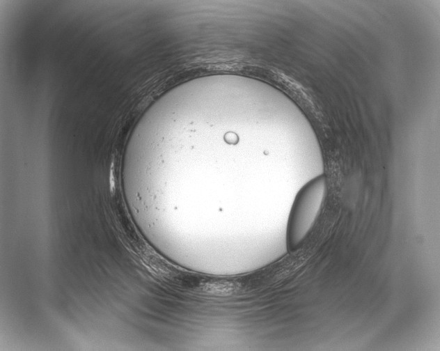 X0000068820069200605050953