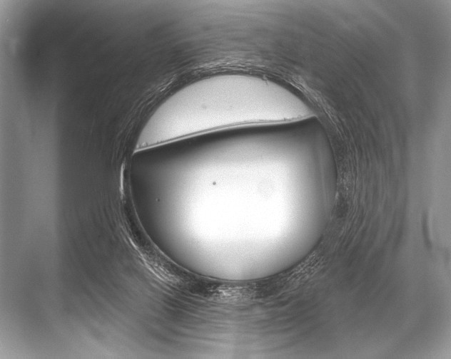 X0000068820070200605050953