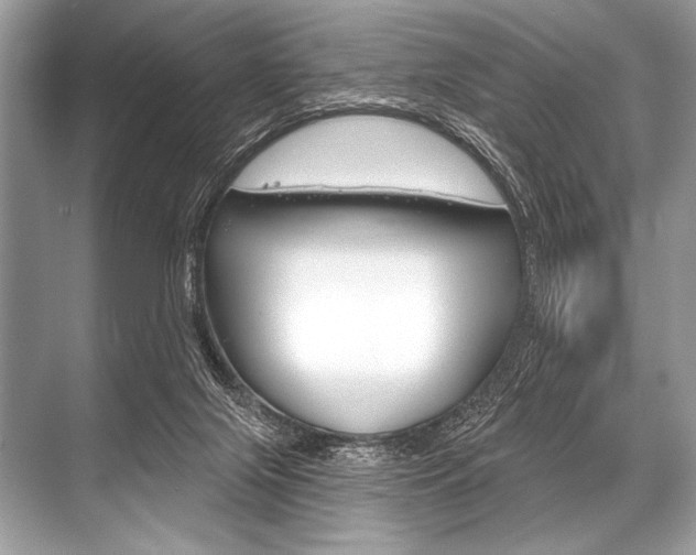 X0000068820071200605050953