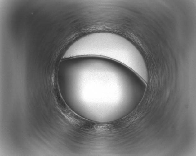 X0000068820072200605050953