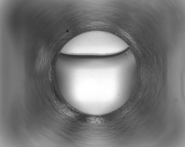 X0000068820073200605050953