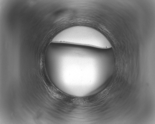 X0000068820074200605050953