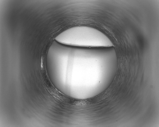 X0000068820075200605050953