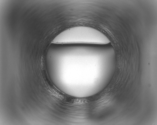 X0000068820077200605050953