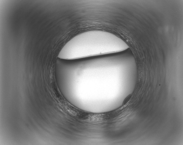 X0000068820078200605050953