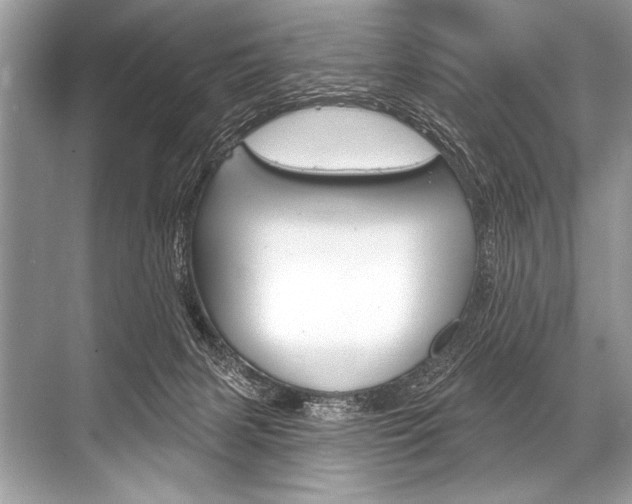 X0000068820079200605050953