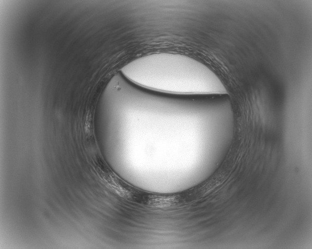 X0000068820081200605050953